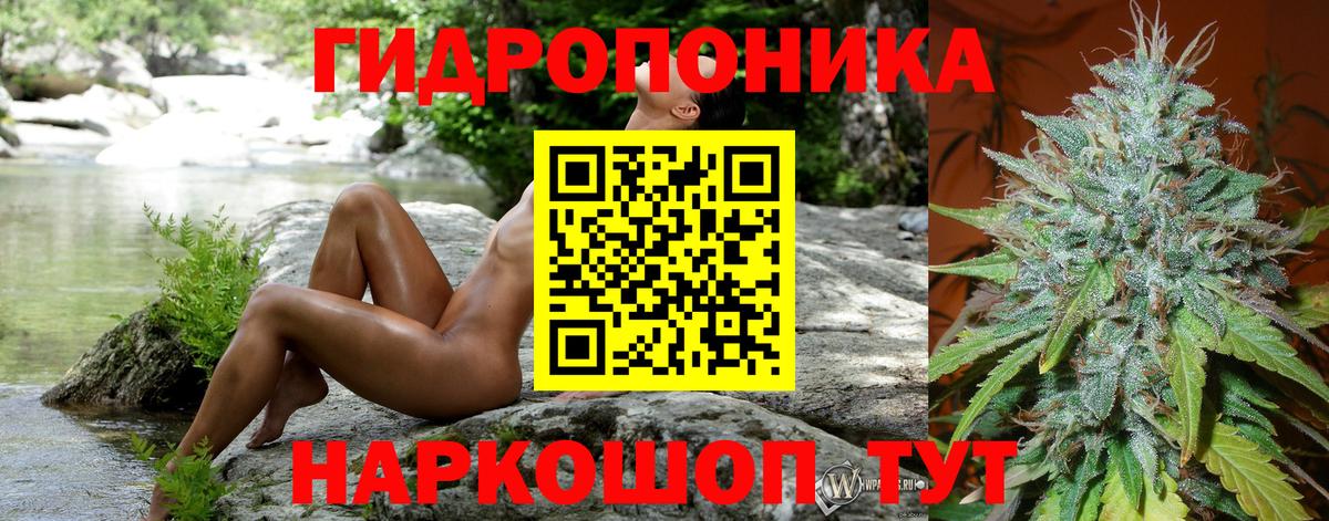 Бошки марихуана Ganja  Бошки Шишки индика  Вход с VPN  Бошки марихуана конопля  Родники 